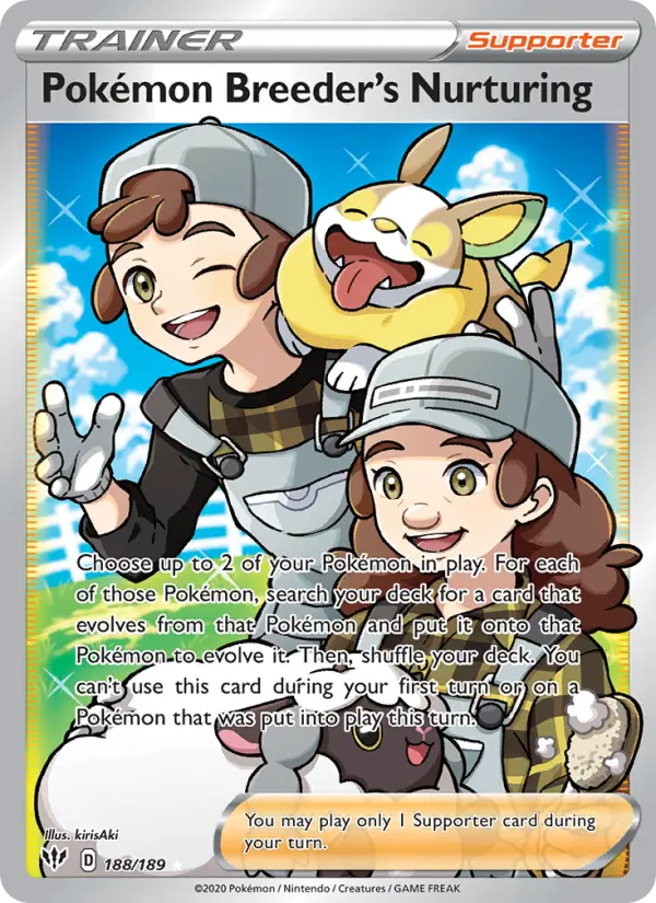 Soins de l'Éleveur de Pokémon — Ténèbres Embrasées