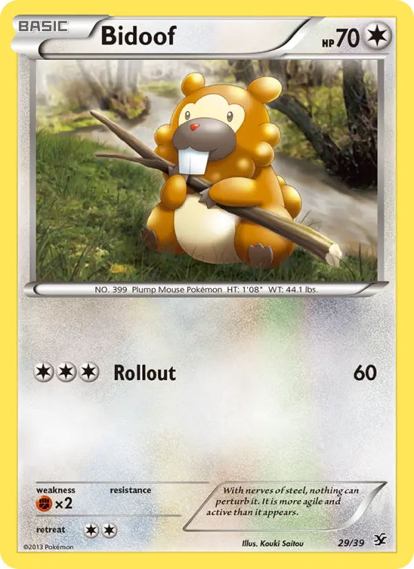 Bidoof — Kalos Starter Set
