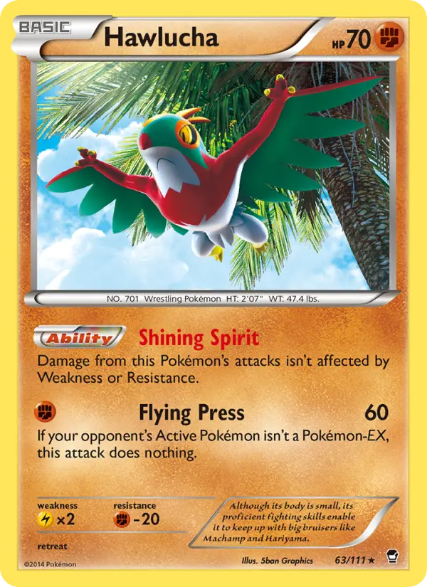 Hawlucha — Furious Fists