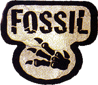 Fossil expansion logo