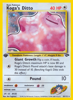 Metamorph de Koga — Gym Challenge